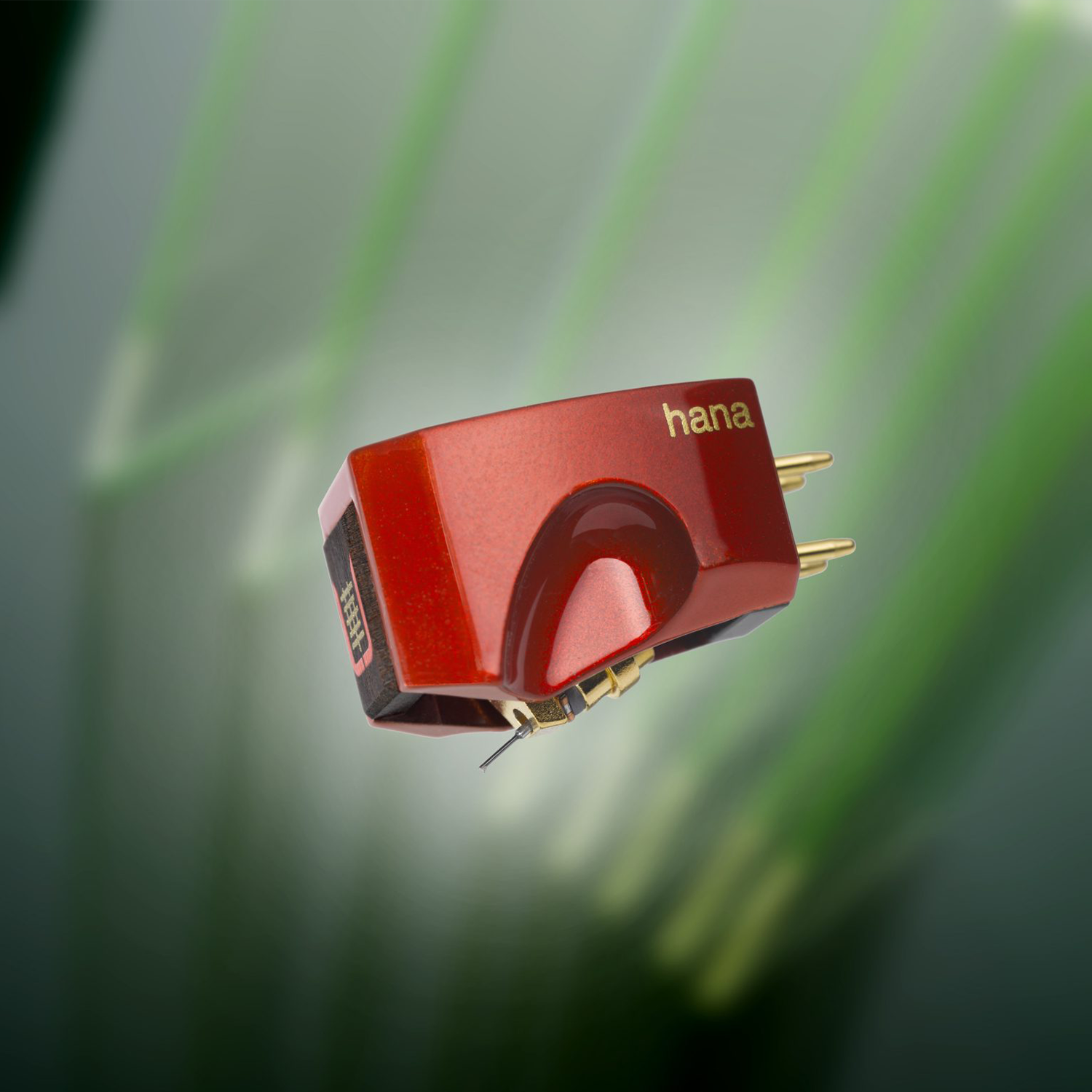 Hana - Umami Red